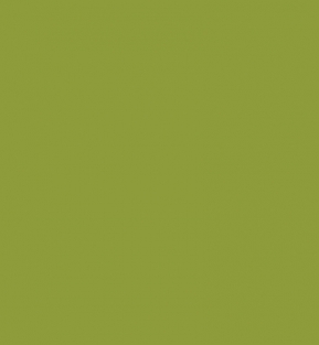 TRANSFERPAPIER effen grasgroen 1 vel